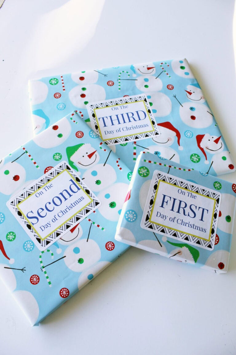 12 Days of Christmas Book Countdown